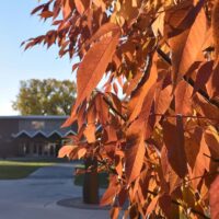 Adams State University campus