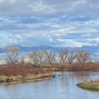 Alamosa Rio Grande