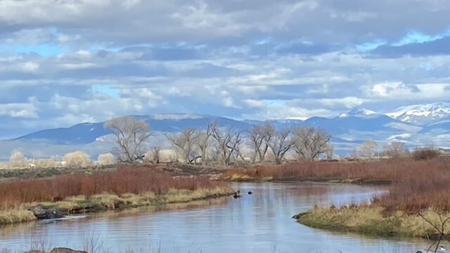 Alamosa Rio Grande