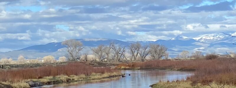 Alamosa Rio Grande