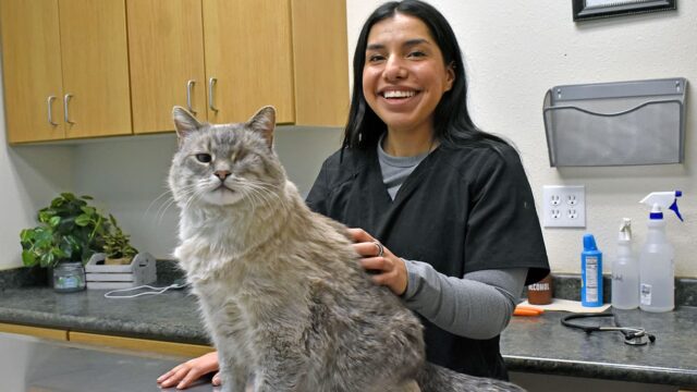 Lisseth Lemus at Alpine Veterinarian Hospital